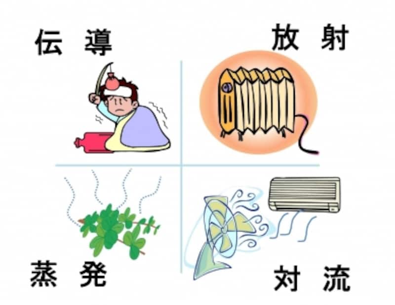 暑さ、寒さを左右する4つの要素「伝導」「対流」「放射」「蒸発」のイメージ図。