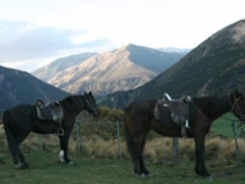 大自然の中を馬と進んでいく乗馬は忘れられない体験になる