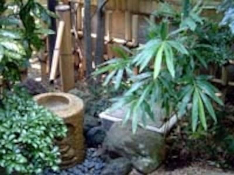 涼しげな水鉢のある庭