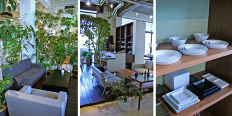 都会のオアシス! 緑ある空間は落ち着きます