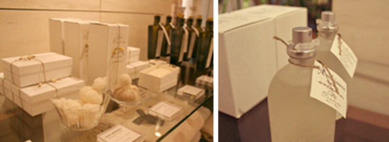 コテ・バスティドのオールドローズシリーズ