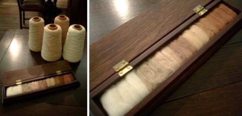 力強く育ったオーガニックコットンは、自然の力でグリーンやブラウンに色づく