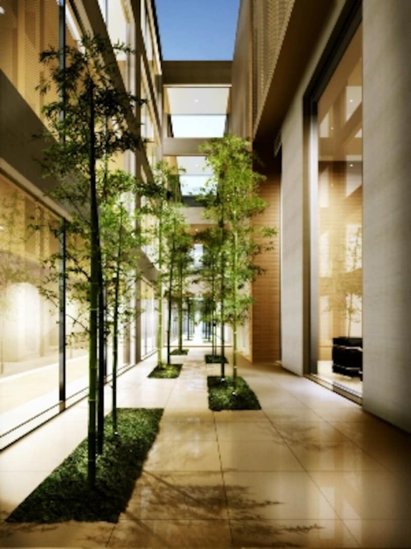 パティオの竹。風景の中の、模様の一部として収まっていた