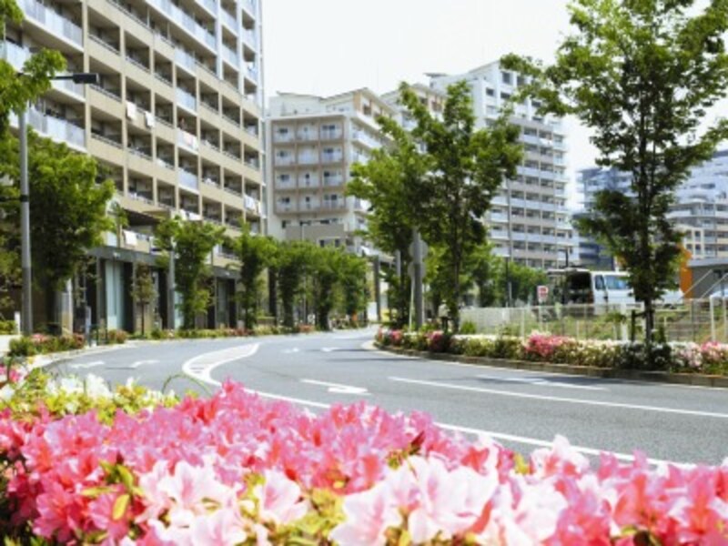 電柱は樹木の成長をときに妨げる。地下に埋設することで景観が良くなるばかりでなく、草木の彩りが街並みに季節感を添えることとなる