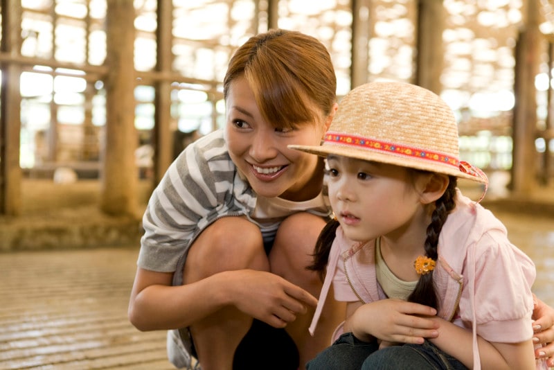 自由研究,理科,実験,小学校