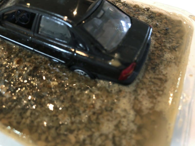 自由研究,理科,実験,小学校