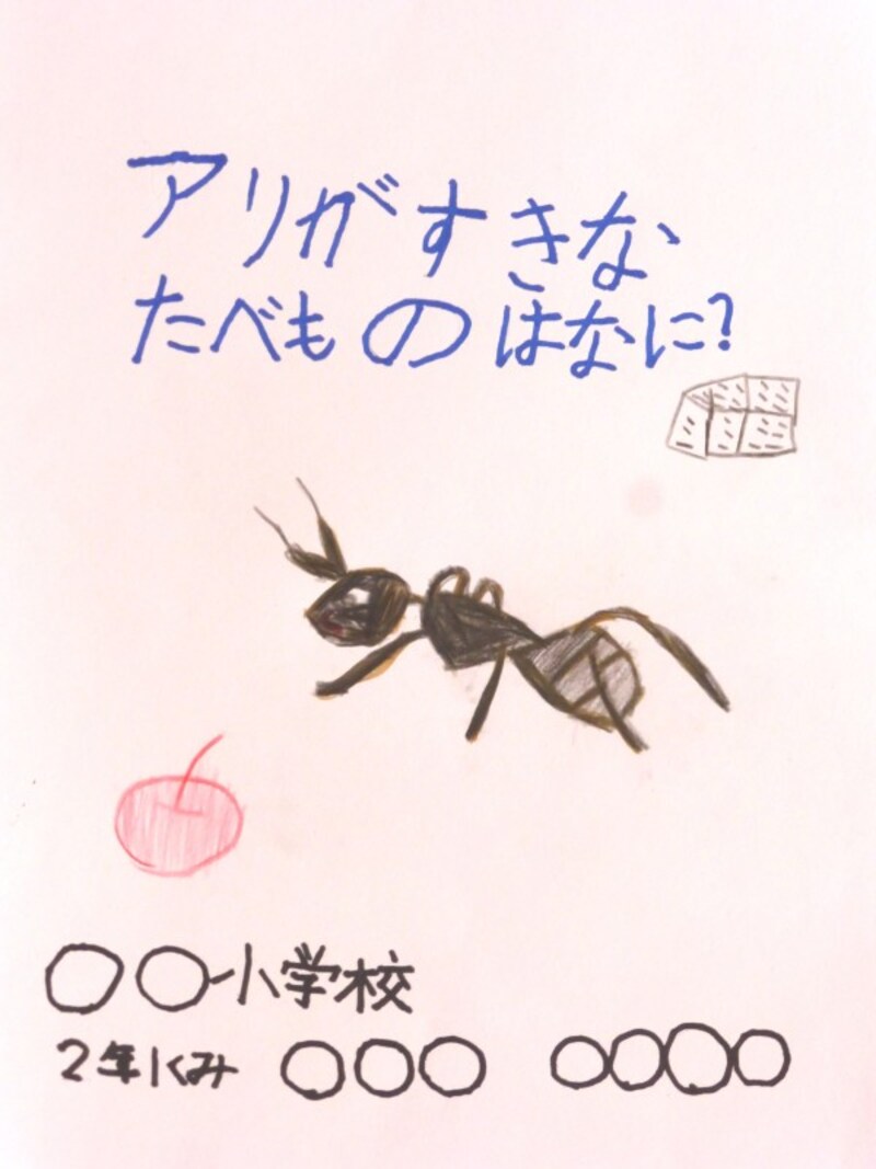 画用紙での自由研究のまとめ方