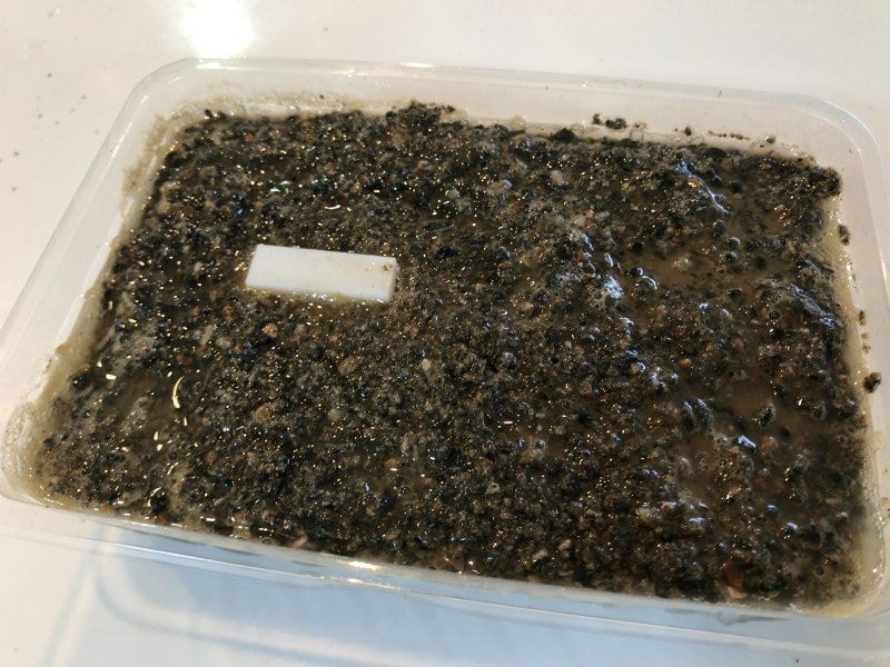 液状化,実験,自由研究,地震
