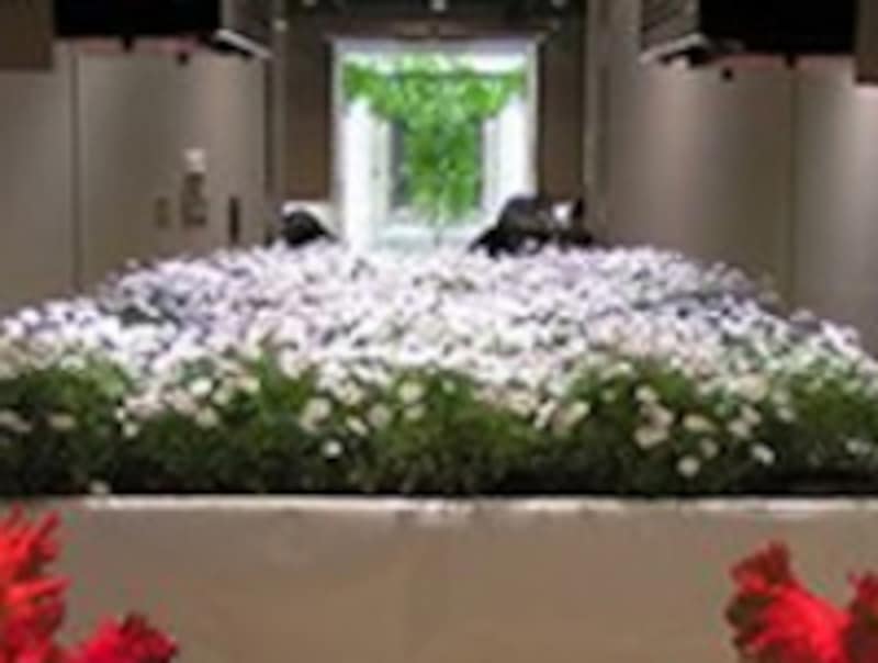 パソナオーツー