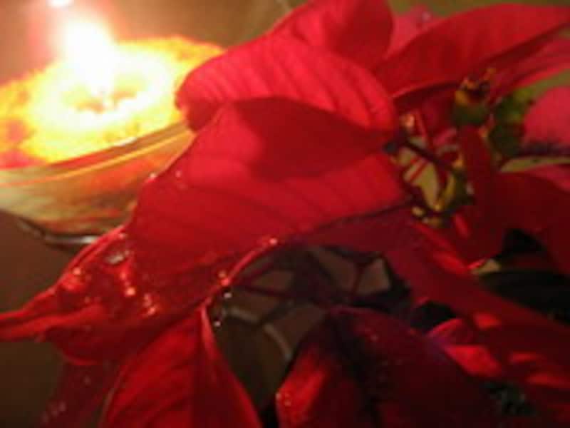 パーティでの会話も大切なコミュニケーション！