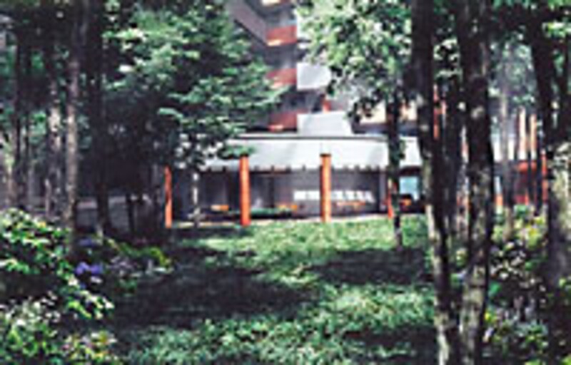 敷地内の中庭(フォレストガーデン)完成予想図