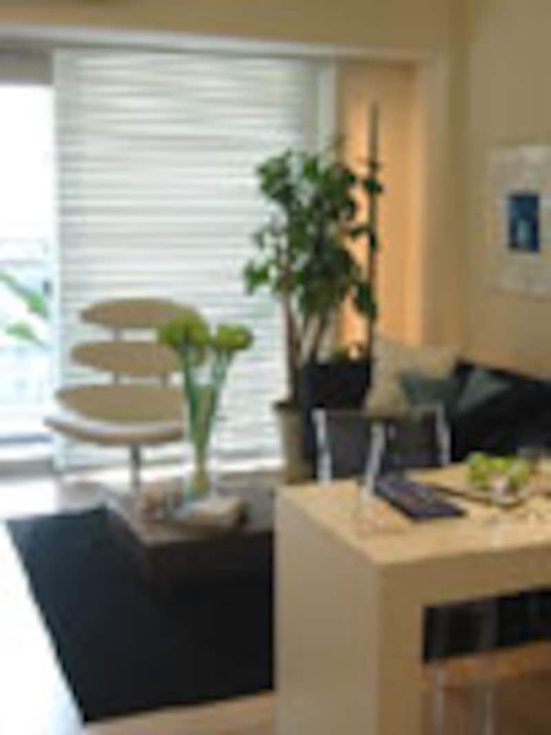 F4/フィールドフォー TASTE