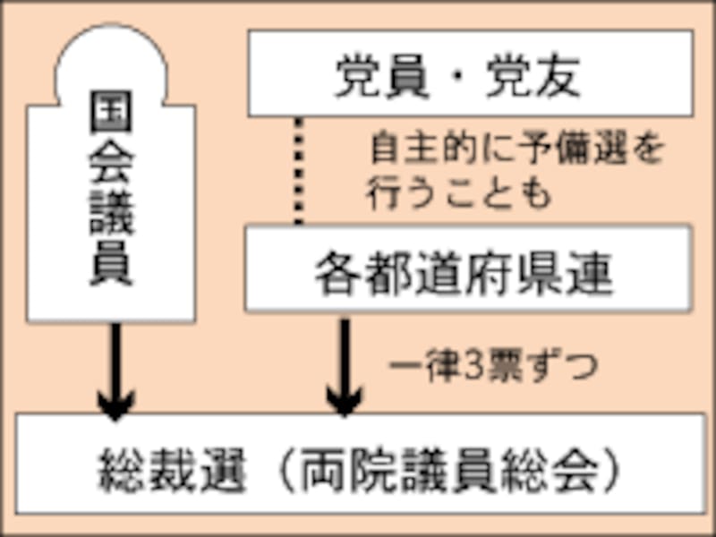 緊急総裁選のしくみ