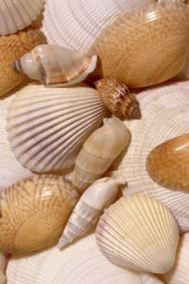 ハワイでのお仕事と生活