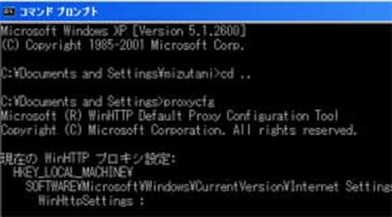 コマンド入力画面でプロキシ情報を確認
