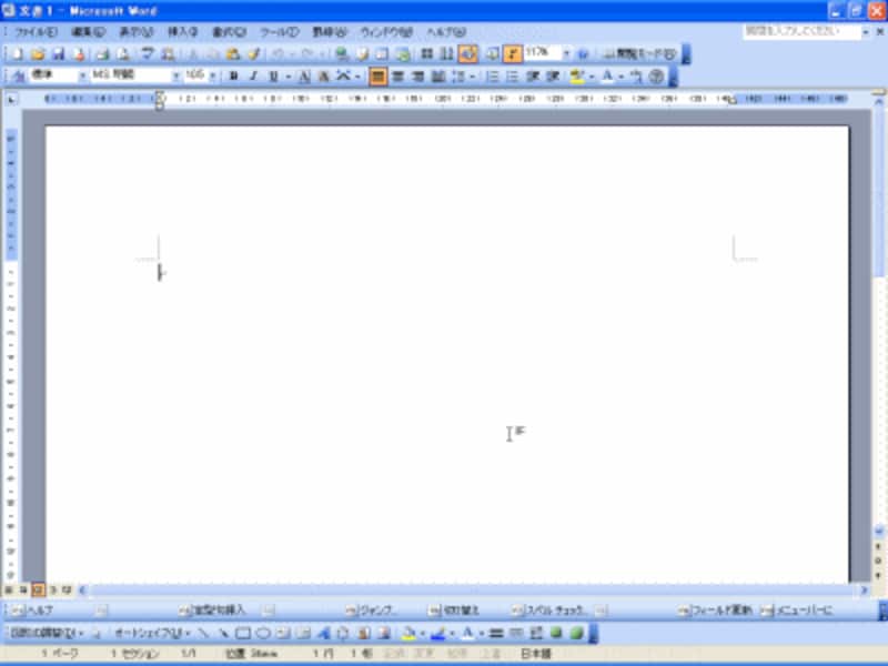 フルスクリーン表示