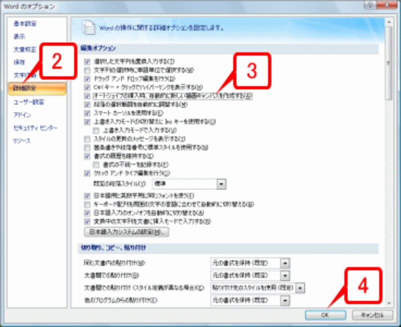 左側のメニューで［詳細設定］を選択し、［編集オプション］の［オートシェイプの挿入時、自動的に新しい描画キャンバスを作成する］をオンにします。