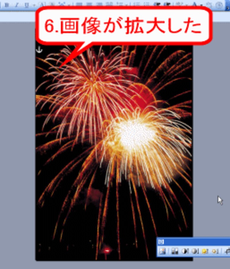 画像がページいっぱいに拡大された