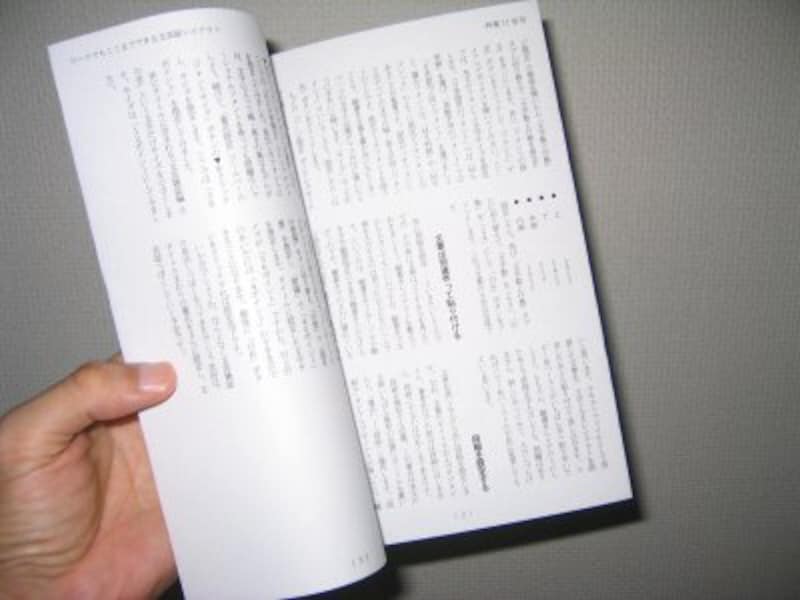 ページをめくるとこんな感じ