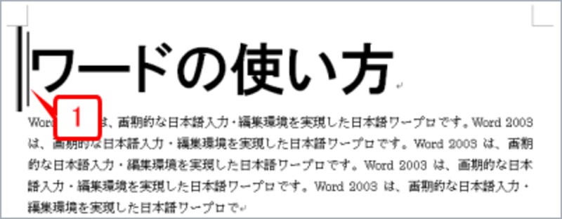 「ワードの使い方」の段落の左辺に段落罫線を表示しています。「ワード」の前にカーソルを置き、「マイクロソフト」と入力してみましょう