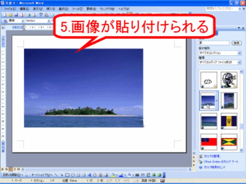 画像が貼り付けられる