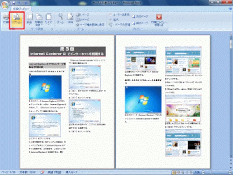 印刷プレビューに切り替わり、印刷状態が表示されます。［オプション］ボタンをクリックします。