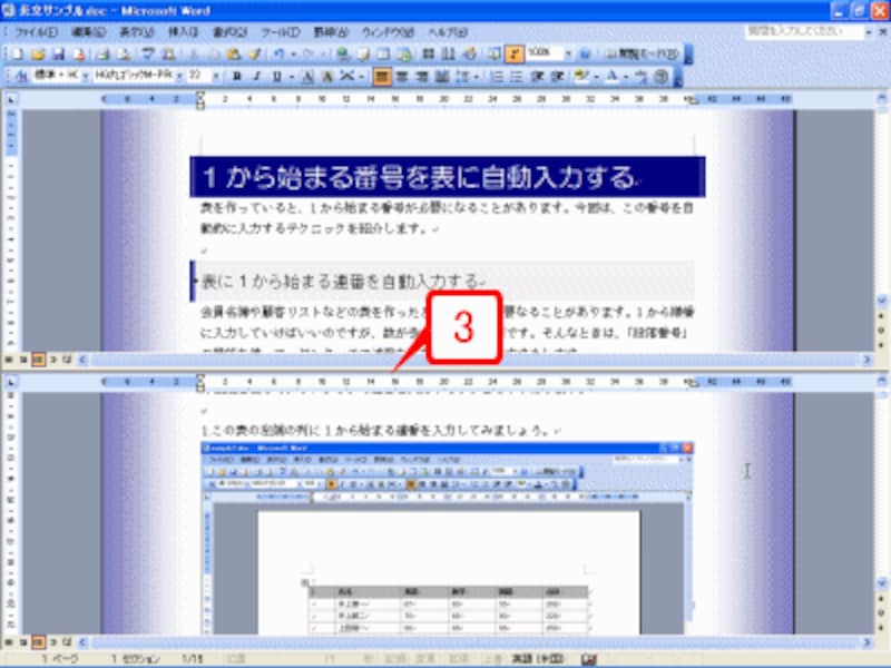 ウィンドウが上下に等分割され、両方のウィンドウに文書が表示されます。表示されている文書は同じ文書であることに注意してください