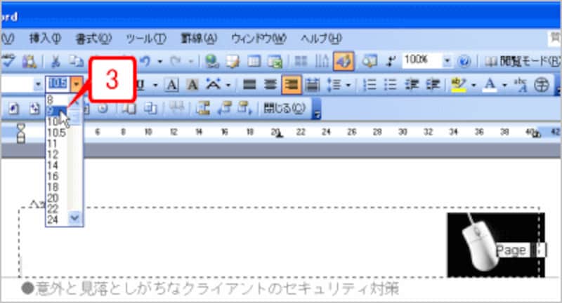 続けてサイズを指定します。ここでは「9pt」を指定しました。