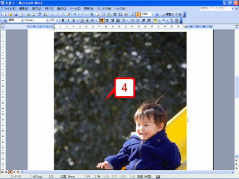画像が挿入されます。