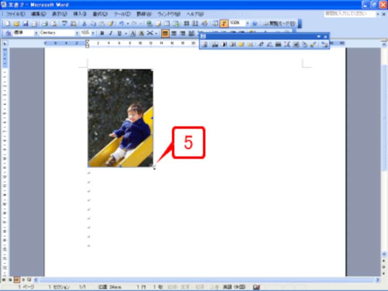 画像の右下にある■マークをドラッグして小さくします。