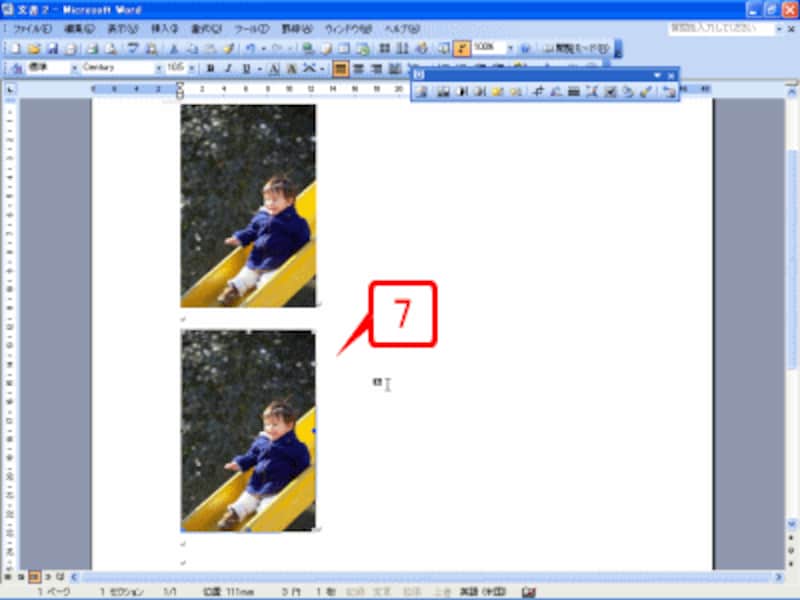 画像がコピーされました。