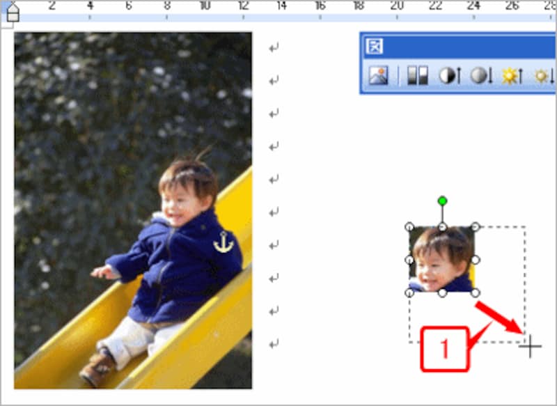 トリミングした画像をクリックして選択したら、右下の○マークをドラッグしてサイズを拡大します。