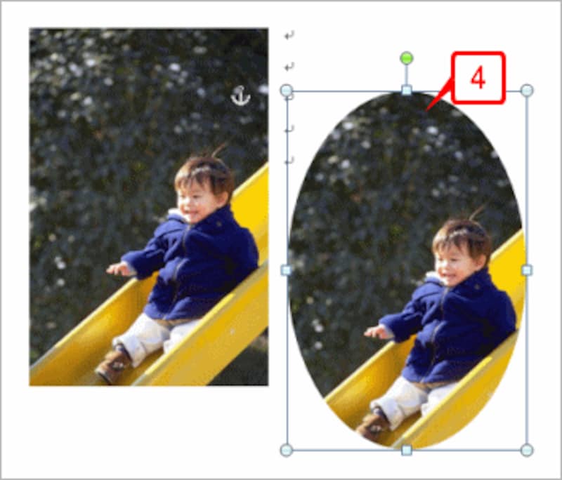 画像が楕円形に切り抜かれます。