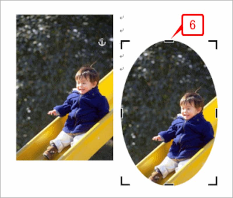 画像がトリミング用のマークで囲まれます。