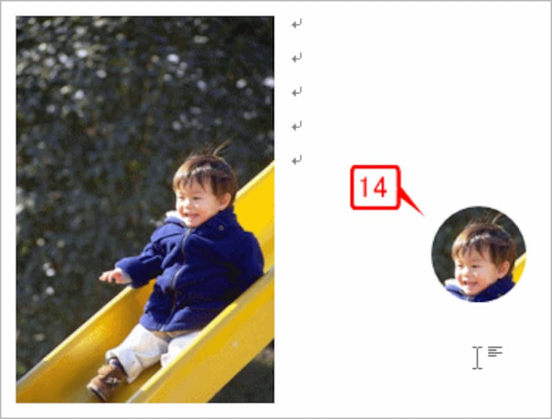 画像が円形に切り抜かれ、トリミングされました。