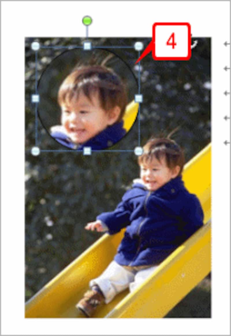 画像の枠線が表示されました。ただし、線の色が黒なので、まだ分かりづらい状態です。