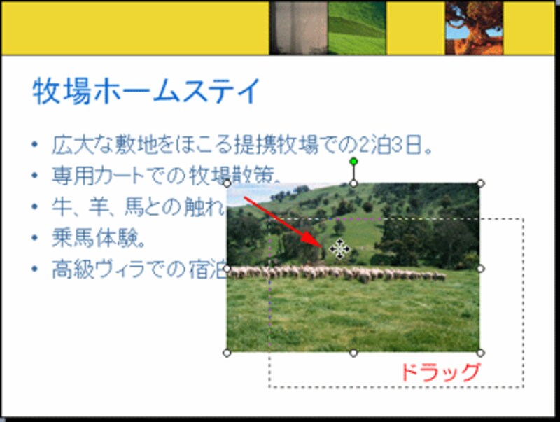 写真を移動して配置することもできます