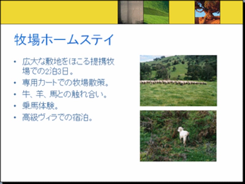 2枚の写真が自動的にレイアウトできた