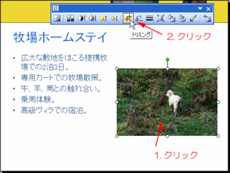 トリミングの準備をする