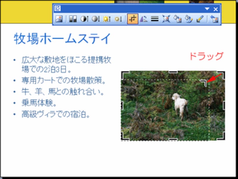 画像の端をドラッグする