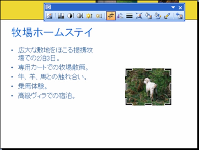 トリミングで不必要な部分がカットできた