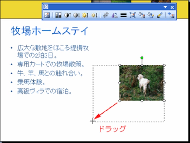 四隅の白いハンドルをドラッグする