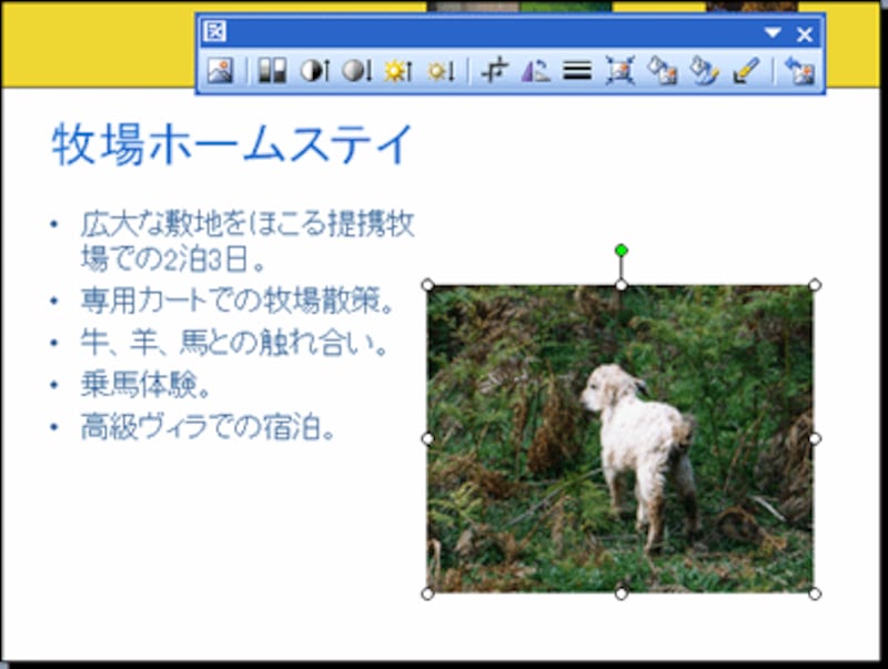 トリミング後の写真が拡大できた