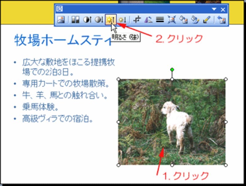 写真の明るさも調整できます