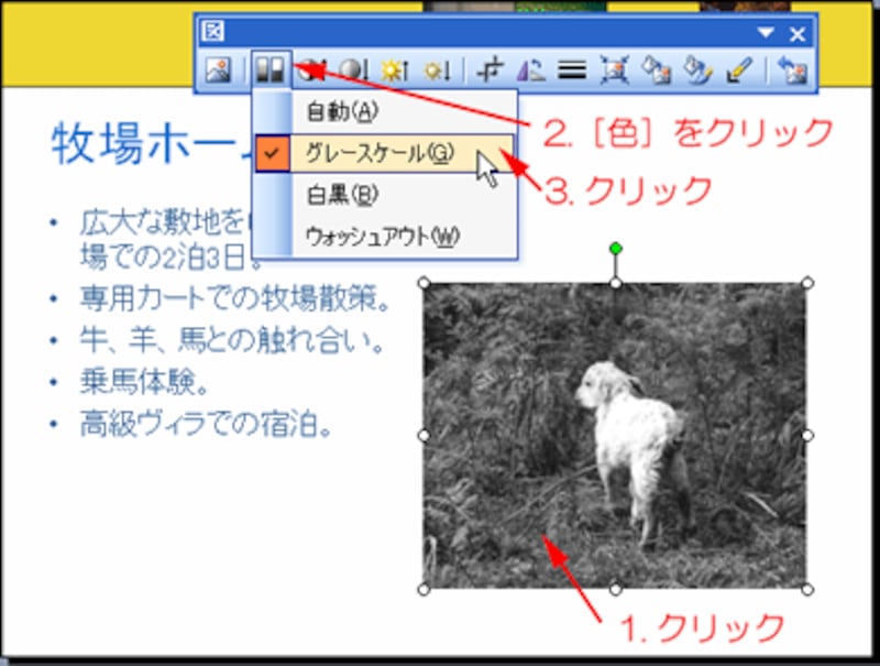 写真をモノクロにに