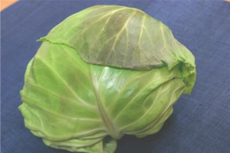 冬系キャベツ
