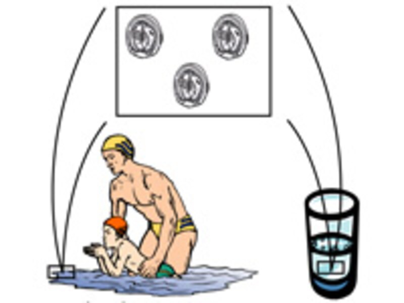 //imgcp.aacdn.jp/img-a/800/auto/aa/gm/article/2/9/8/7/0/8/cryptosporidiosis_1.jpg