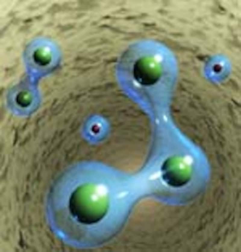 『オレキシン』は脳内ホルモン