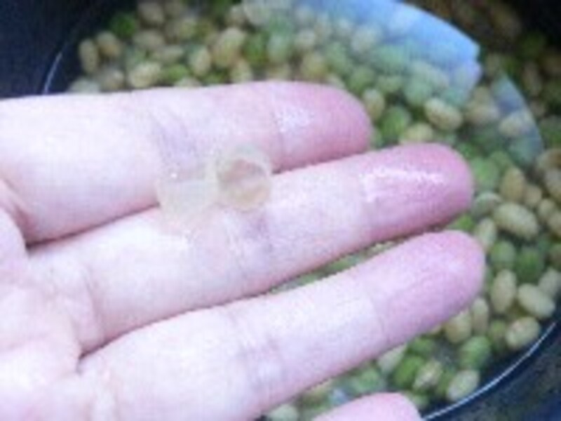 豆づくし玄米ごはん・手順４