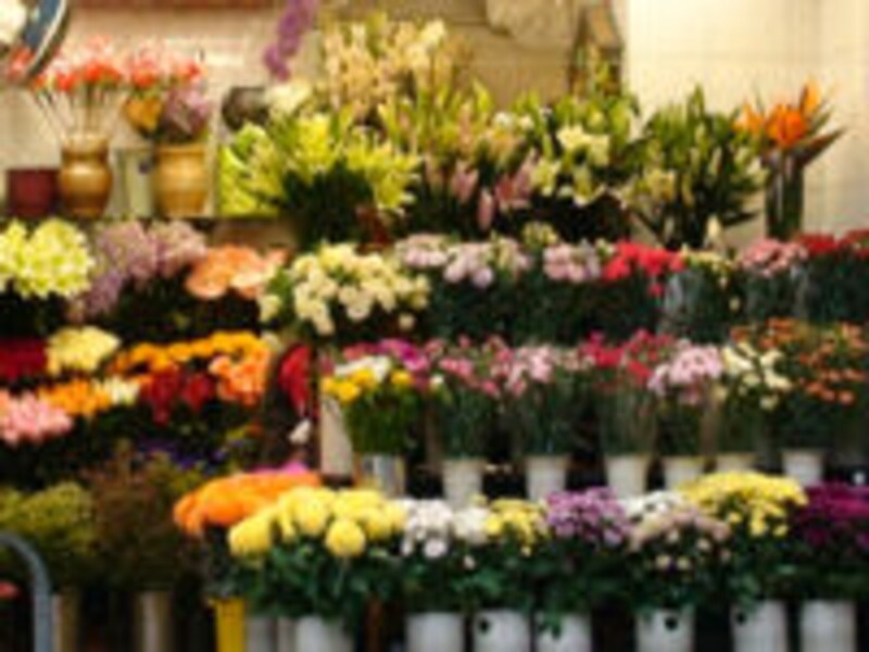 花屋さん (c)Wikicantona